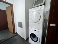 The Balmoral Spring (D10), Apartment #482354101